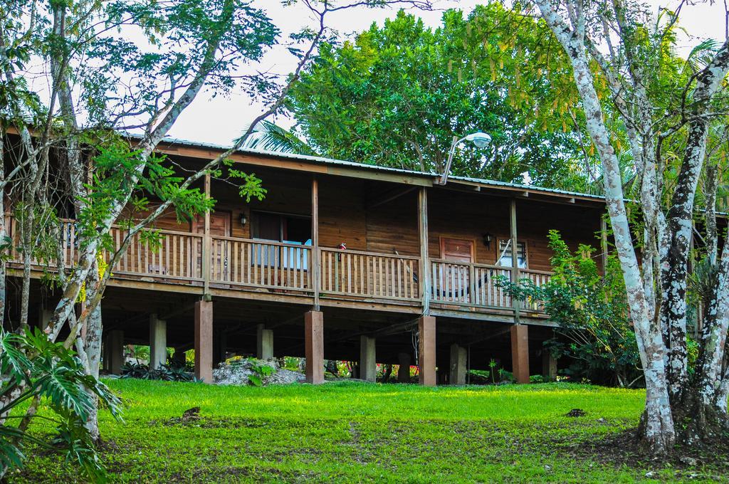 The Log Cab-Inn Сан-Игнасио Номер фото
